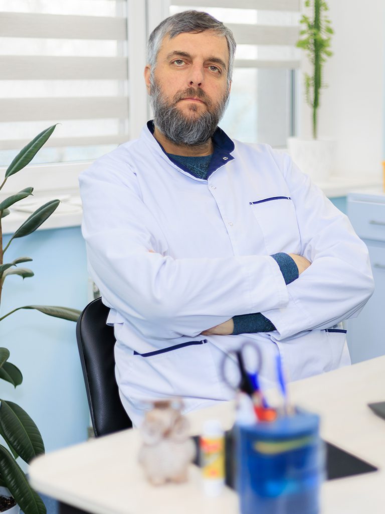 Гуль Александр Павлович